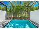 Enclosed pool area with lush bamboo backdrop, creates a secluded outdoor retreat at 296 Famagusta Dr, Davenport, FL 33896
