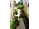 Landscaped walkway with lush green plants leads to the building's entrance at 413 Summit Ridge Pl # 215, Longwood, FL 32779