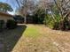 Green backyard with palm trees and natural growth on a sunny day at 5050 Hidden Springs Blvd, Orlando, FL 32819