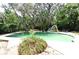 Backyard pool surrounded by lush trees and greenery, with a pool slide at 6105 Lost Tree Court, Orlando, FL 32808