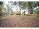 A lush backyard with a mix of trees and vegetation provides a private and serene setting at 6345 Hatcher Rd, Lakeland, FL 33811