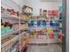 Walk-in pantry featuring wire shelving, offering ample storage for food and household items at 13139 Stanthorne Ave, Orlando, FL 32832