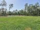 Large, grassy backyard surrounded by mature trees, offering a private outdoor space at 16253 Sw 29Th Court Rd, Ocala, FL 34473