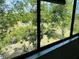 Scenic view from window, lush greenery, and mature trees at 2216 Stonington Ave # 2216, Orlando, FL 32817