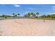 A sandy beach volleyball court with a net and palm trees, offering a recreational space for residents by the lake at 9836 Lake District Ln, Orlando, FL 32832