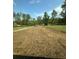 An expansive backyard with newly laid sod and plenty of space for outdoor activities at 13265 Sw 85Th Cir, Ocala, FL 34473