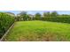 Large, flat backyard with lush green grass, trimmed hedges, and a well-maintained lawn at 1396 Riley Cir, Deland, FL 32724