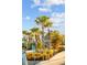 Lush tropical landscaping with tall palm trees surrounding a thatched-roof structure and pool area at 8045 Lost Shaker Ln, Kissimmee, FL 34747