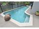 Swimming pool surrounded by tropical plants and a screened lanai for outdoor fun and privacy at 11994 Mckinnon Rd, Windermere, FL 34786