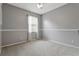 A cozy bedroom with gray walls, plush carpet, and a bright window at 12411 Scarlett Sage Ct, Winter Garden, FL 34787