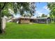 Spacious backyard showcasing a screened-in pool, complemented by a lush green lawn and storage shed at 157 Ambergate Ct, Debary, FL 32713