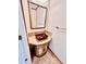 Elegant bathroom featuring a decorative sink and ornate mirror, exuding a luxurious and sophisticated ambiance at 16041 Lagoon Dr, Clermont, FL 34711