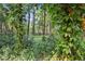 Lush, mature backyard landscaping and trees create a tranquil private outdoor space at 628 Riverpark Cir, Longwood, FL 32779