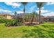 Green backyard with a screened pool enclosure, palm trees, and lush landscaping at 10161 Sandy Marsh Ln, Orlando, FL 32832