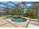 Inviting pool and spa with a screened enclosure and lush landscaping at 10161 Sandy Marsh Ln, Orlando, FL 32832