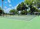 Enjoy a competitive match on this pickleball court, surrounded by lush trees and clear blue skies at 1094 Henry Balch Dr, Orlando, FL 32810