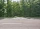 Street view of land showing concrete slab entry surrounded by lush trees and green shrubbery at 111 Beasley Rd, Oviedo, FL 32765