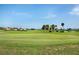 Scenic golf course view showcasing the green with palm trees and blue skies at 1726 Brassie Ct, Kissimmee, FL 34746