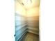 Walk-in pantry with ample wire shelving for storage at 1726 Brassie Ct, Kissimmee, FL 34746