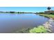 Beautiful water view of lake and shoreline with weeds at 1726 Brassie Ct, Kissimmee, FL 34746