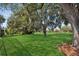 A beautiful backyard with a large green lawn and mature trees with Spanish moss, perfect for outdoor activities at 1969 Crystal Downs Ct, Oviedo, FL 32765