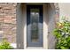 Close-up of the stylish front door with decorative glass and stone accents at 1978 Fishtail Fern Way, Ocoee, FL 34761