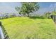 Well-maintained community dog park with lush green grass and ample space for dogs to roam at 26271 Feathergrass Cir, Leesburg, FL 34748