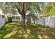 Fenced backyard features a well-maintained lawn and mature tree providing shade at 3813 Goldenglow Dr, Orlando, FL 32828