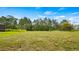 Spacious backyard with lush green grass and beautiful trees at 4905 Pall Mall E St, Kissimmee, FL 34758