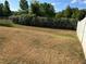 Photo of backyard with tall privacy hedge, dry brown grass, and white vinyl fence at 6625 Cherry Grove Cir, Orlando, FL 32809