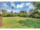 Expansive backyard features lush green grass, mature trees and tropical foliage at 10856 William Tell Dr, Orlando, FL 32821