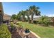 Beautiful backyard with manicured lawn, palm trees and lush landscaping at 2554 Stargrass Cir, Clermont, FL 34715