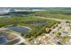 An aerial view shows a charming home located near a scenic pond and lush green tree line at 313 Greenwich Ct, Kissimmee, FL 34758