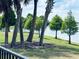 Picturesque lake view framed by palm trees and lush greenery, offering a tranquil community atmosphere at 6268 Great Bear Dr, Lakeland, FL 33805