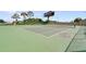 A community tennis court featuring well-maintained green surface, nets, and lush landscaping at 7511 Seurat St # 10207, Orlando, FL 32819