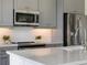 Detailed view of the kitchen featuring stainless steel appliances and a large quartz countertop island at 8478 Karrer Ter, Orlando, FL 32827