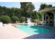 The backyard features a private pool, lush landscaping, and an elegant water feature at 11013 Ullswater Ln, Windermere, FL 34786