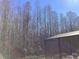 Backyard wooded area with the roof of the screen enclosure barely visible at 116 Blackwater Ct, Kissimmee, FL 34743