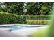 Close up of a backyard pool with manicured hedges and landscaping at 11755 Waterstone Loop Dr, Windermere, FL 34786