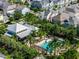 Aerial view showcases a neighborhood with beautiful pools, homes, and mature palm trees at 1356 Coralstone Dr, Celebration, FL 34747
