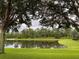 Picturesque view of the pond framed by trees, offering a tranquil and private setting at 4301 Heirloom Rose Pl, Oviedo, FL 32766
