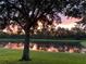 Beautiful sunset view of the pond, creating a peaceful and stunning backdrop at 4301 Heirloom Rose Pl, Oviedo, FL 32766