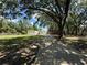Long driveway leading to home and detached garages on large lot with mature landscaping at 4981 Lake Cecile Dr, Kissimmee, FL 34746