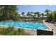 Outdoor pool lined with swimming lanes surrounded by tropical landscaping, trees, and clear, sunny skies at 6875 Bridgman St, Orlando, FL 32827