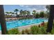 Outdoor pool lined with swimming lanes surrounded by tropical landscaping, trees, and clear, sunny skies at 6875 Bridgman St, Orlando, FL 32827
