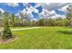 Expansive backyard with lush green grass, providing ample space for outdoor activities at 8202 Sw 123Rd Ter, Dunnellon, FL 34432
