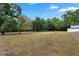 Expansive backyard features mature trees and ample space for recreation at 10059 Sali Dr, Orlando, FL 32817