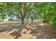 View of the backyard with mature trees and a pool at 106 8Th St, Lake Hamilton, FL 33851