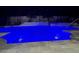 The pool area with the vibrant blue lighting at 15378 Gilligan Ct, Winter Garden, FL 34787