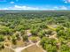 Stunning aerial view of a secluded property surrounded by lush greenery and mature trees at 2550 Barren Oak Ct, Deland, FL 32720